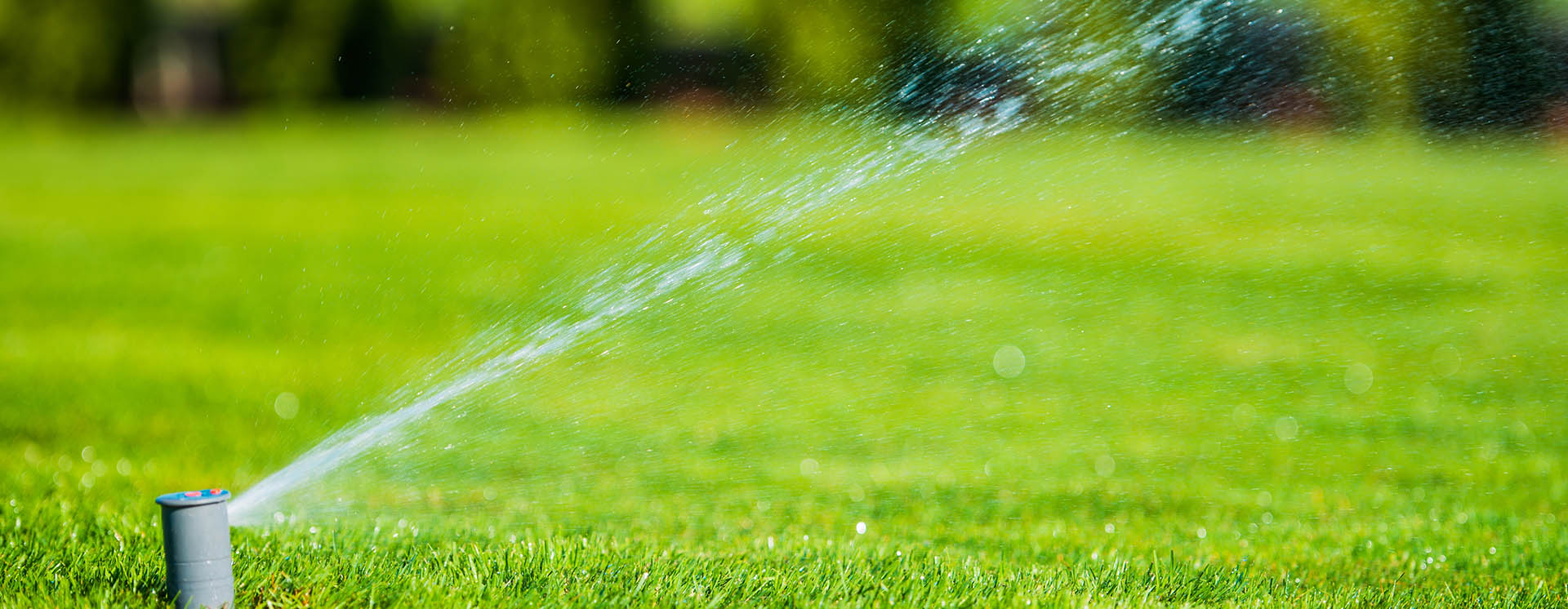 Automatic irrigation system watering a healthy green lawn